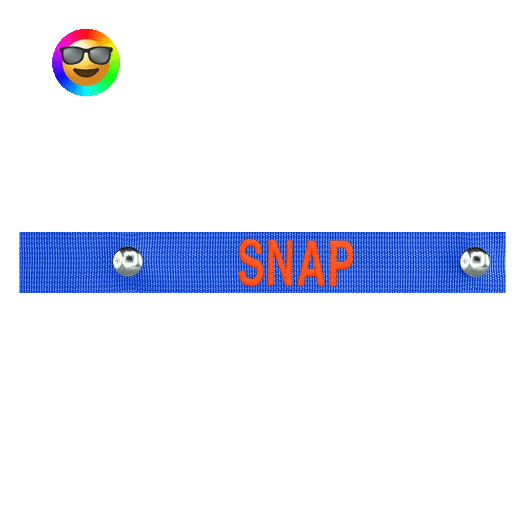 Snap Bag Tag
