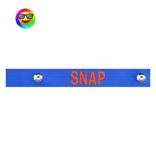 Snap Bag Tag