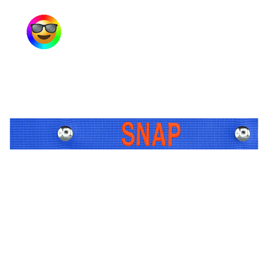 Snap Bag Tag - Dev